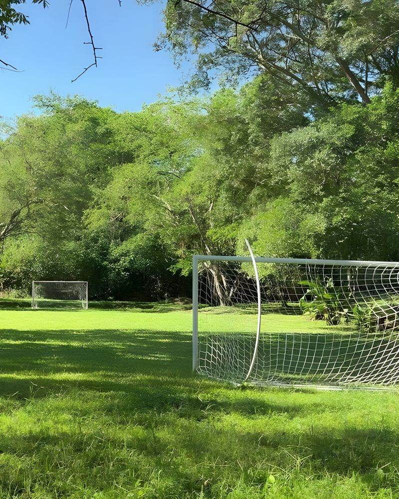 La cancha de fútbol sobre el prado, con el arco blanco a la sombra de los árboles.