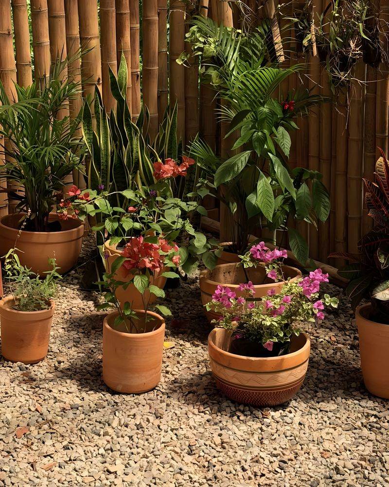 Materas de terracota con plantas en flor contra el muro de guadua del vivero.