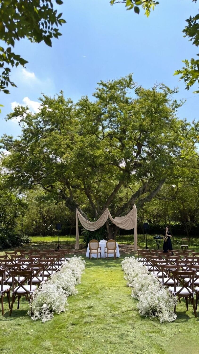 Ceremonia montada sobre el césped: pasillo bordeado de flores blancas hacia dos sillas bajo telas beige colgadas de un árbol enorme, con una saxofonista tocando a un lado.