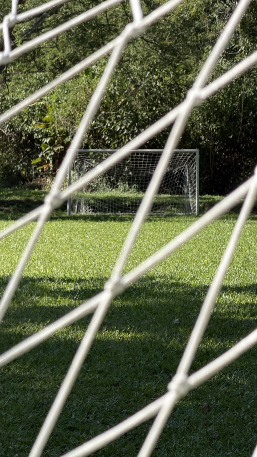 La Cancha: campo de juego abierto sobre césped, con los árboles del predio al fondo.