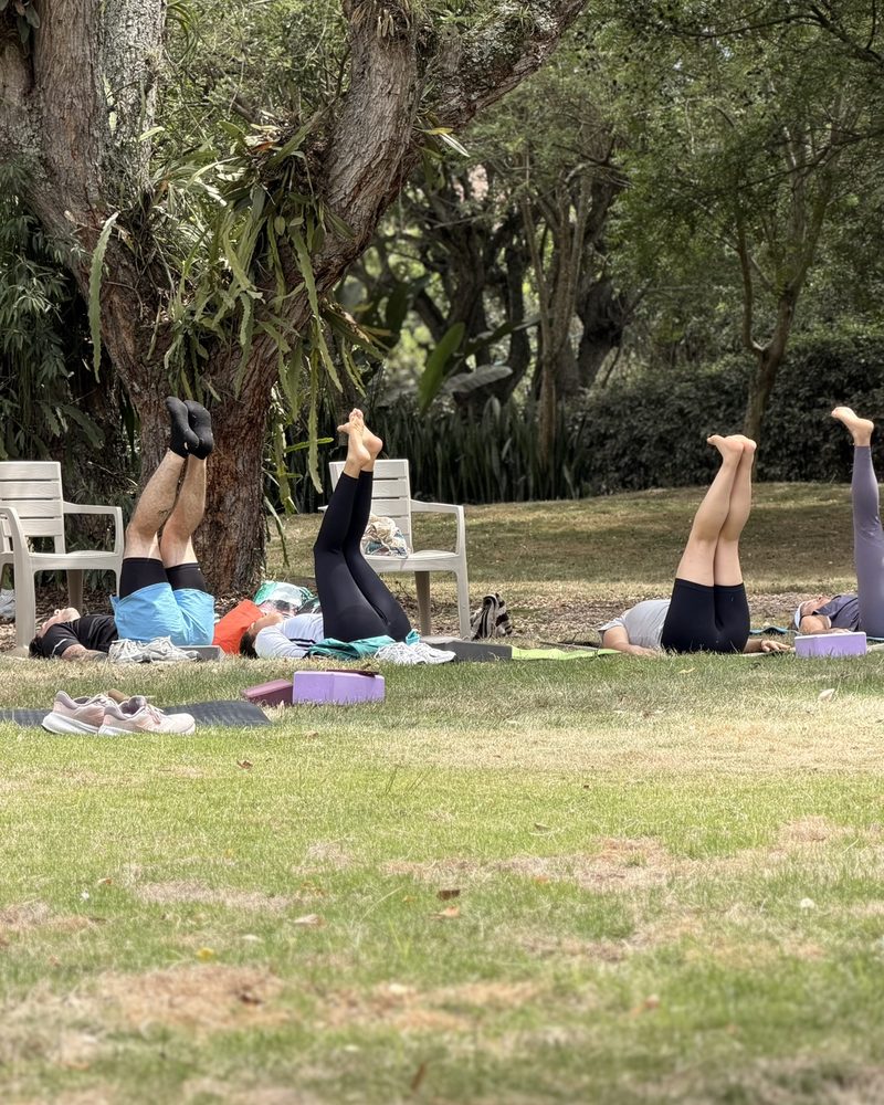 El grupo hace posturas sobre el pasto bajo las ramas de los árboles.