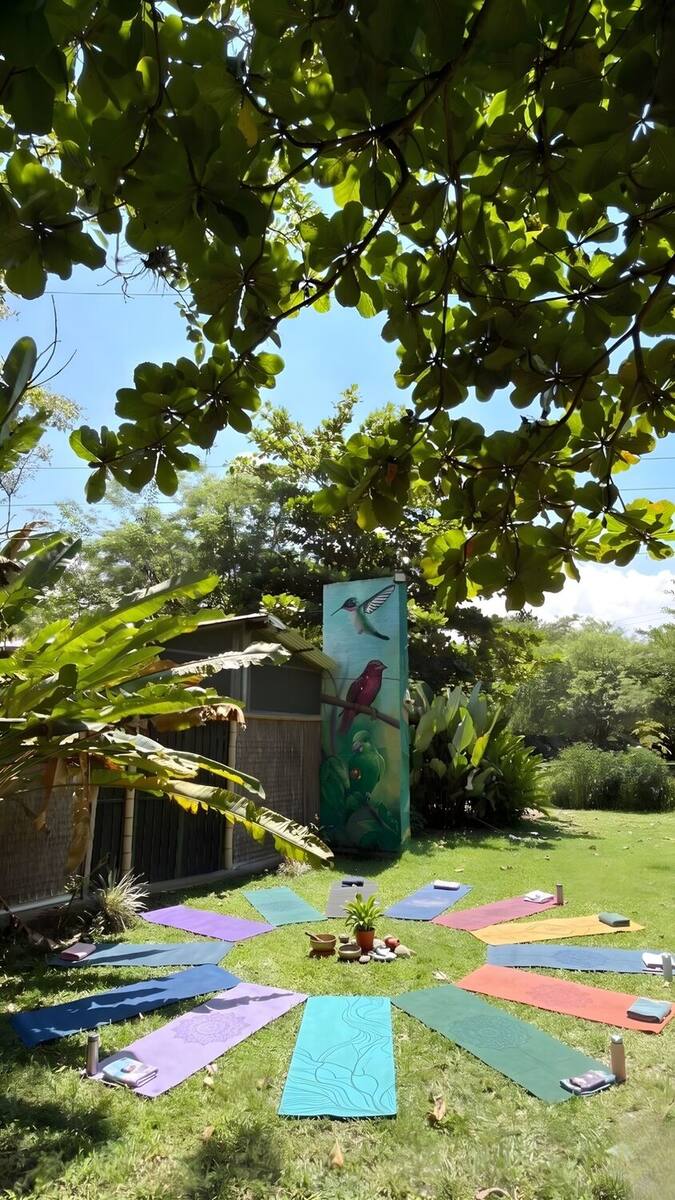 Doce esterillas de colores dispuestas en círculo, como los pétalos de una flor, alrededor de un pequeño centro con plantas, a la sombra de un árbol grande.