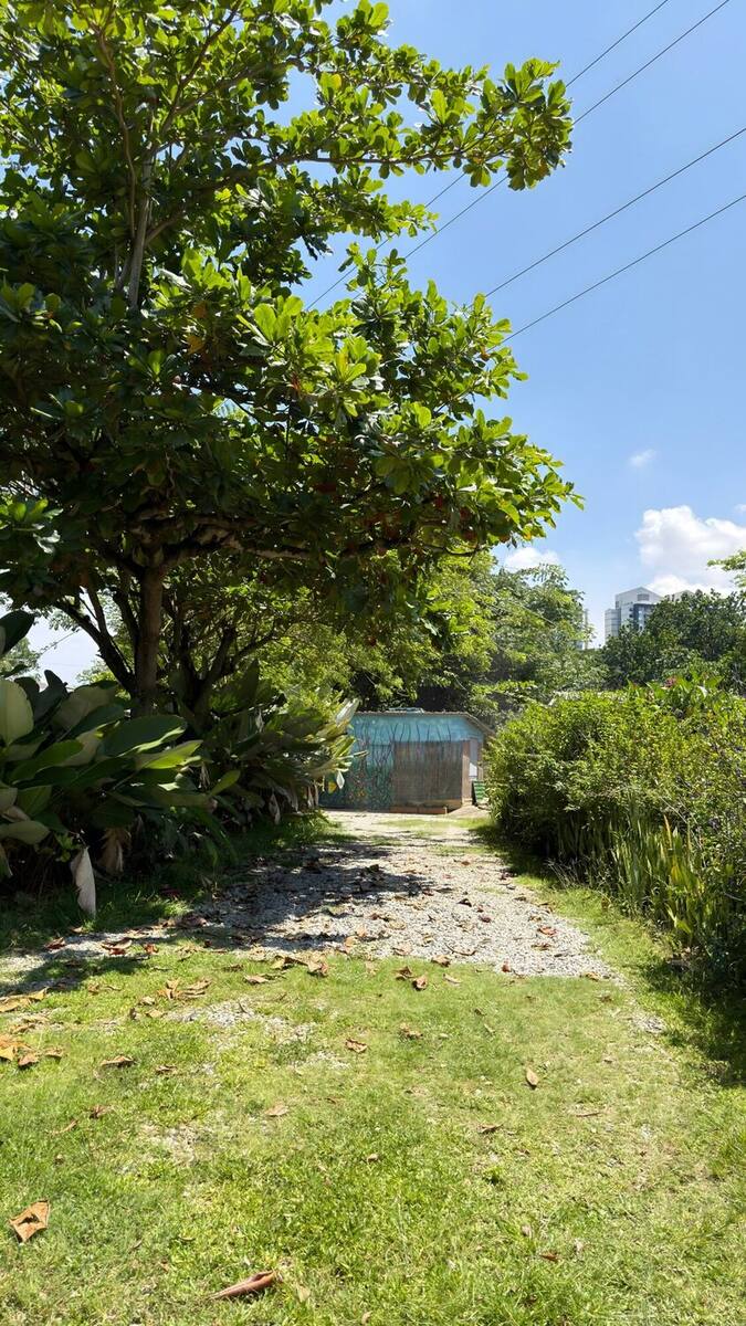 Gravel path between trees and gardens; a city building peeks above the treetops.