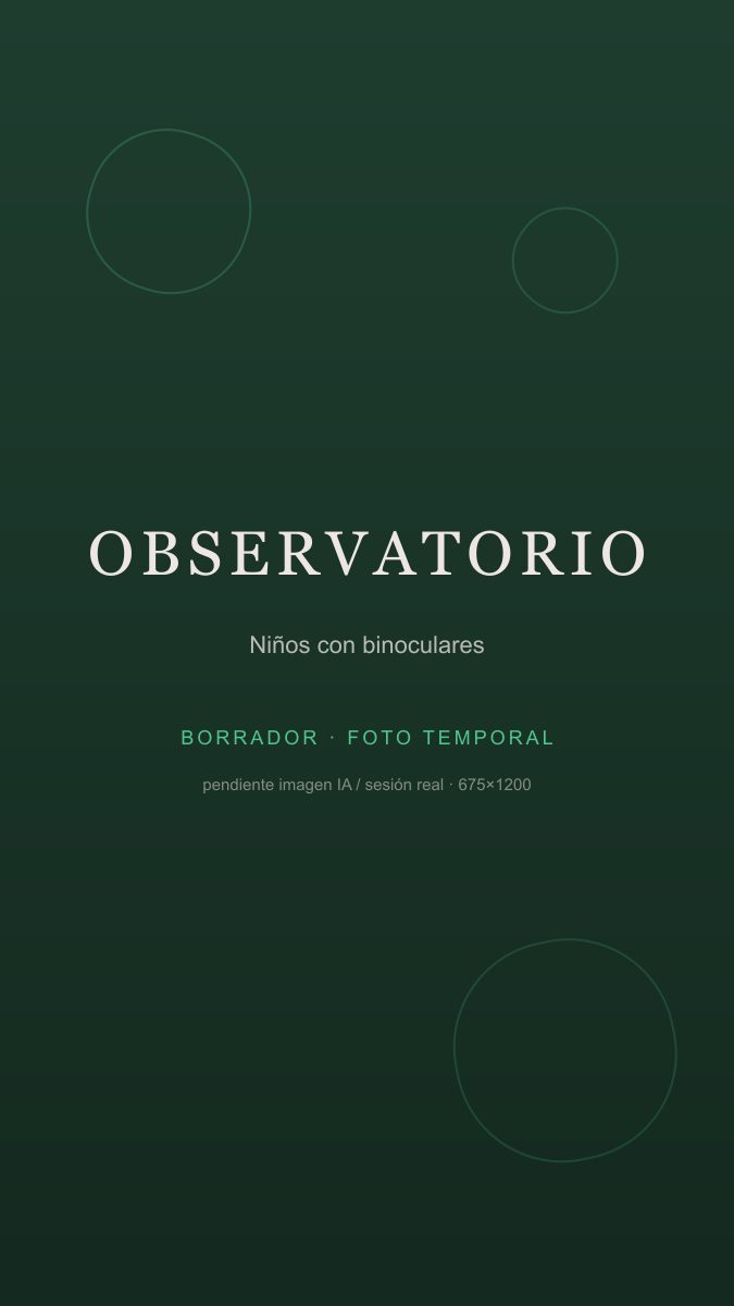 Niños con binoculares mirando hacia el follaje desde el observatorio.